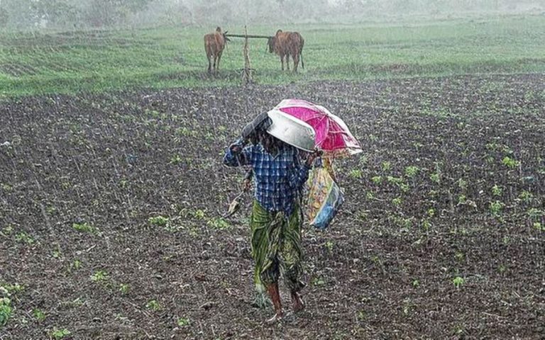 पानी परेपछि पूर्वी क्षेत्रका किसान खुसी, मकै छर्न सजिलो